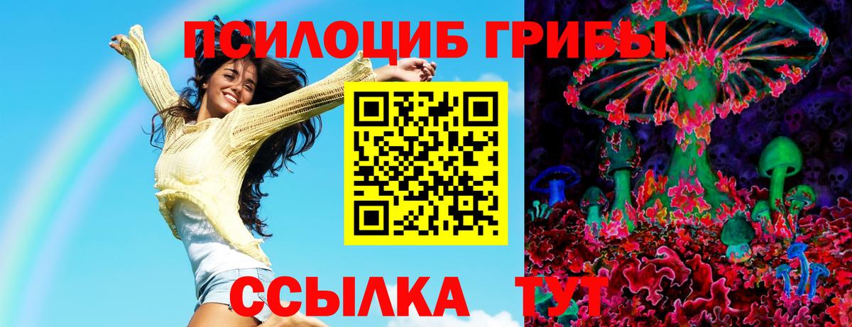 Псилоцибиновые грибы MAGIC MUSHROOMS  купить   Псилоцибиновые грибы мухоморы  Нефтеюганск  Вход с VPN 